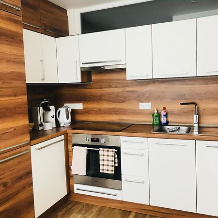 Jenys Apartment Teplice Dış mekan fotoğraf